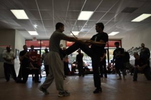 Demonstrating kicking technique. Charlotte, 2015